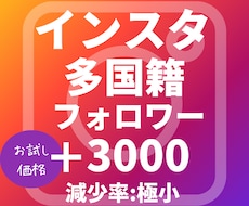 インスタグラム外国人フォロワー増加サポートします イメージ1