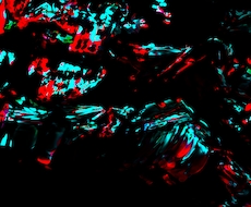 最先端のCG技術を使ったMVの制作を行います イメージ1