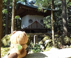 貴方が開運する！神社仏閣パワースポットお伝えします 貴方におすすめの神社を希望のご利益別に提案します♪