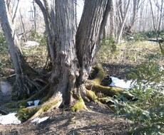 相手の気持ちと、相性、仕事などこれからを見ます あなたの悩みをオーラや前世から読み解きます