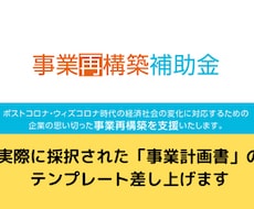 採択された事業再構築補助金の申請資料を提供します そのまま申請に使える事業再構築補助金の計画書元データ提供