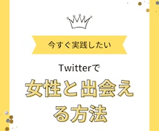 Twitterで女性と出会える方法を伝授します イメージ1