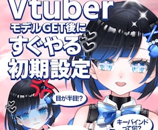 VtuberモデルGET後にすぐやることを教えます 【これ一冊プロ直伝】厳選！すぐやる初期設定＆重要調整ガイド
