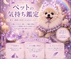 愛犬・愛猫の気持ちを霊聴で視ます うちの子の本当の気持ち、聴かせてもらいます