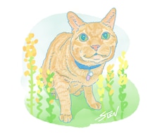 可愛いペットの似顔絵を制作します イメージ1