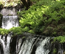 介護の悩み聞きます イメージ1