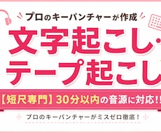 30分以内の音声・動画を正確に文字起こしいたします イメージ1