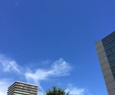 面接や人付き合いが苦手なあなたにコツを教えます イメージ1