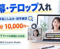 動画に字幕・テロップを文字起こし込みで入れます イメージ1