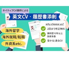 経験豊富なネイティブが英文CVをプロ添削します イメージ1
