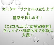 カスタマーサクセス/サポートの立上＆構築支援します 【CS立ち上げ/支援実績有】立ち上げ～組織化まで柔軟に支援！