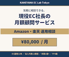 現役EC社長があなたの月額顧問になります イメージ1