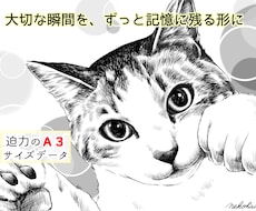 癒される！おしゃれなモノクロペット似顔絵描きます ♪迫力の高画質Ａ３サイズデータ！記念品やアイコンヘッダーにも