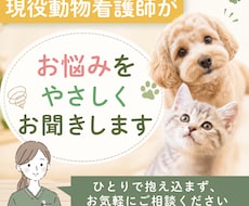 現役動物看護師がうちの子のお悩みをお聞きします ご希望の方にはオプションでうちの子デザインカードも作成！