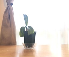 1人で考えずに一緒に考えます イメージ1