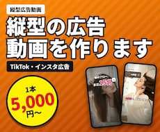 5,000円！縦型の広告動画を編集します イメージ1