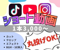 低価格でショート動画を編集します イメージ1