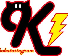 チラシやロゴのデザインをします イメージ1