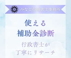 あなたの事業に適した補助金を行政書士が調査します 事業内容に応じて国・自治体・各業種の補助金を網羅的に調査