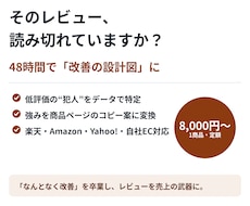 楽天・Amazonレビューを48時間で分析します お客様の不満と強みを見える化。次に直す一手がわかる