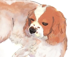 かわいいペットの似顔絵イラストお描きします イメージ1