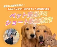 大型犬出演！ペット用品のPR用リール動画を作ります イメージ1