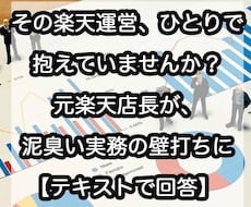 元楽天店長がテキストで回答。B2Bの相談乗ります 楽天＆自社ECの並行運営の現場を生き抜いた経験をあなたに！