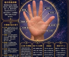 あなたの手相から過去・現在・未来を占います