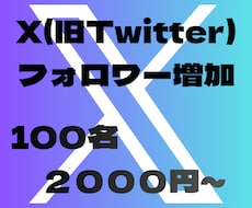 X(旧Twitter)のフォロワー増やします イメージ1