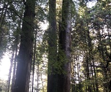 あなたのお話を聴きます イメージ1