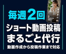 TikTok・リール・ショート動画投稿代行します リール・TikTok・YouTubeショート対応