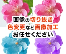 現役デザイナー画像切り抜き等10枚千円で承ります イメージ1