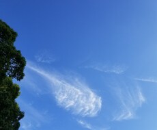 不安、悩み、話したいこと受け止めます イメージ1