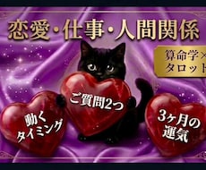 恋愛＆仕事♥️質問２つ タロット×算命学で占います 24時間内✳10月末迄1000円✳2500字｜片思い 転職