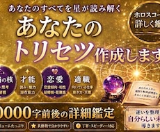 あなた専用の人生戦略レポートを作成します イメージ1