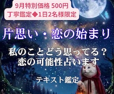 お相手の気持ちを霊感タロットで読み解きます 夜間・深夜のお悩みも歓迎！スピーディに心へ寄り添います