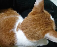 あなたの愚痴、不安、ストレス聞きます イメージ1
