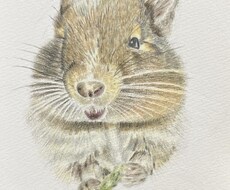 ペットの似顔絵を描きます イメージ1