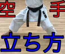 空手の形の指導をします イメージ1