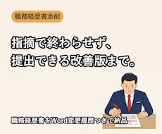 職務経歴書を提出できる改善版まで添削します イメージ1