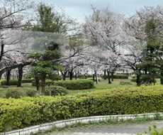 もやもやの言語化をサポートします イメージ1