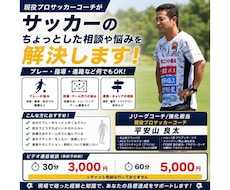 サッカーのちょっとした悩み、解決します 南米リーグ/Jリーグの経験からあなたの「モヤモヤ」を解決！