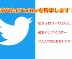 Twitter複数垢で60万人に宣伝拡散します 最低100RT以上〜本当の超拡散パワーをご堪能下さい！