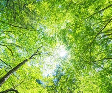 人間関係での悩み相談、許せない人の愚痴ききます イメージ1