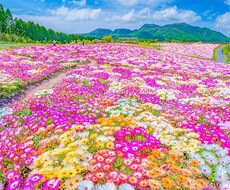 どんなお悩みでも真剣に聞きます イメージ1