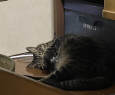 愚痴を言いたい人お聞きします イメージ1