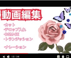 ナレーション入れも可能！格安で動画編集します