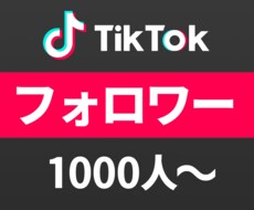 TikTokフォロワーを1000～増やします 高品質なTikTokフォロワーを安価でご提供いたします