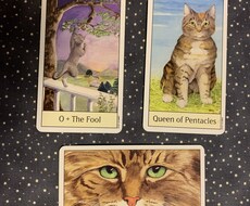 うちのねこから今あなたに必要なメッセージを届けます イメージ1