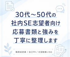 30〜50代の社内SE志望向けに応募書類整理します イメージ1